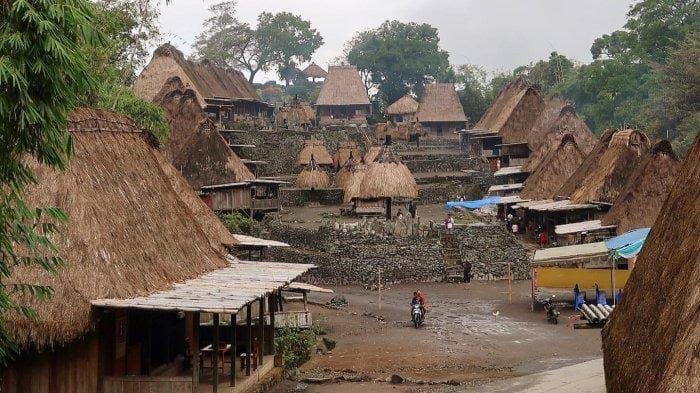 Flores Komodo Tour Packages