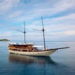 Boat-Tour-package