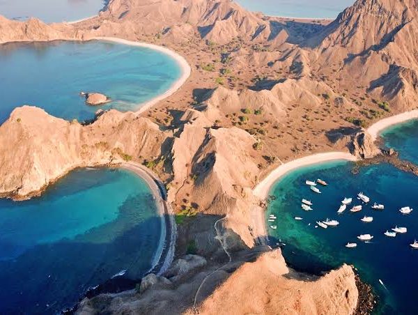 Komodo tour package