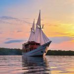 best komodo boat tours