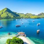 komodo Island tour from bali