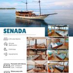 komodo tour 3 days 2 nights price